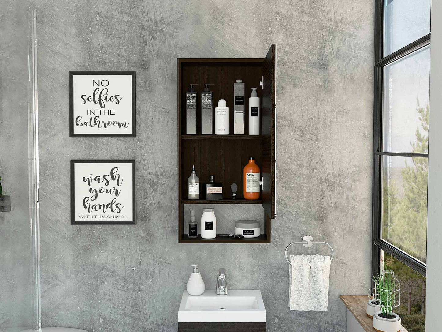 TuHome Black Mariana Medicine Cabinet