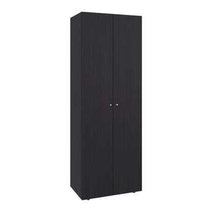 Home 2 Doors Closet System Armoire, Hanging Rod and Storage Shelf, Modern Armoire for Bedroom Organization Storage