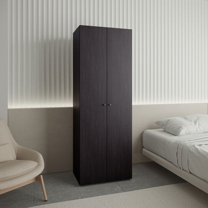 Home 2 Doors Closet System Armoire, Hanging Rod and Storage Shelf, Modern Armoire for Bedroom Organization Storage