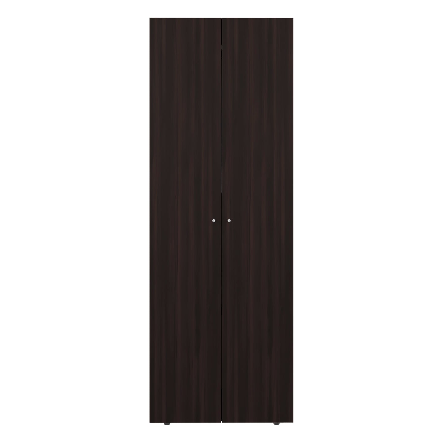 Home 2 Doors Closet System Armoire, Hanging Rod and Storage Shelf, Modern Armoire for Bedroom Organization Storage
