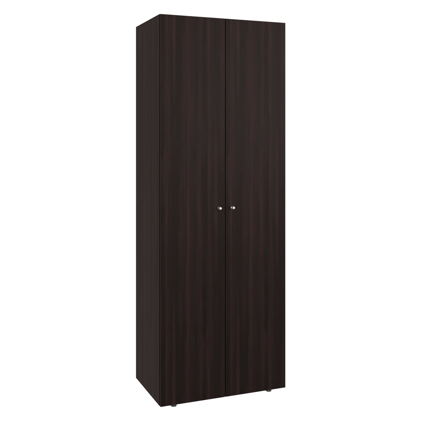 Home 2 Doors Closet System Armoire, Hanging Rod and Storage Shelf, Modern Armoire for Bedroom Organization Storage