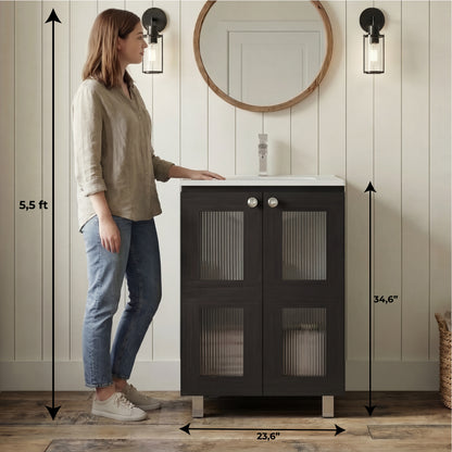 Haysi Bathroom Vanity Cabinet with 2 frosted glass Doors, Resin Sink and 2 Interior Shelves Cabinet, Compact Vintage and Modern Bathroom Vanity