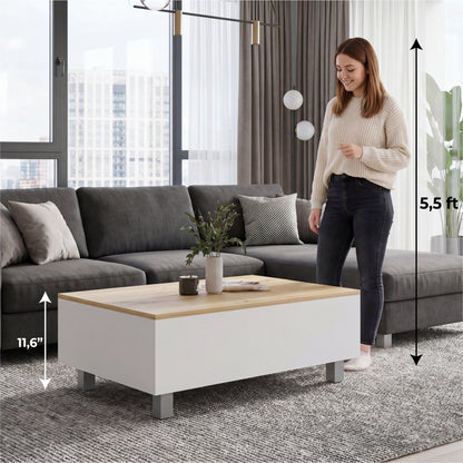 Tuhome Gambia Modern Lift-Top Coffee Table with Hidden Storage, Multi-Function Center Table, Ideal for Living Room, Stylish and Functional Design